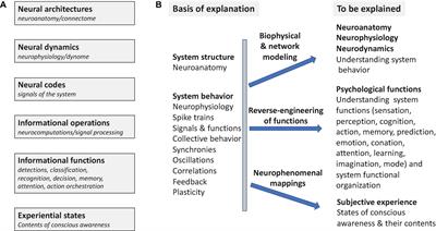 Time Is of the Essence: Neural Codes, Synchronies, Oscillations, Architectures